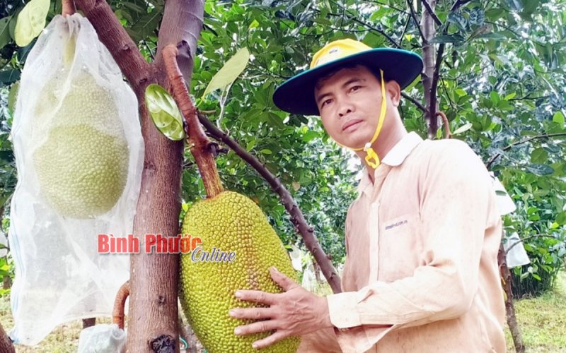 Thu nhập ổn định từ đa canh