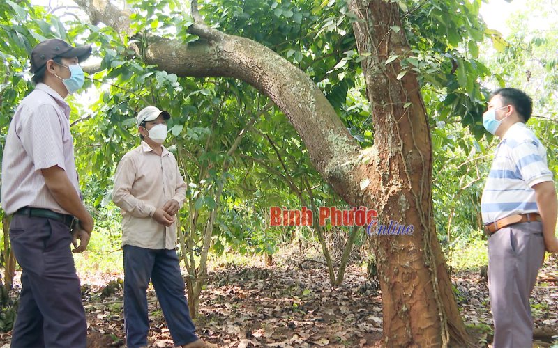 Thu tiền tỷ nhờ đa canh
