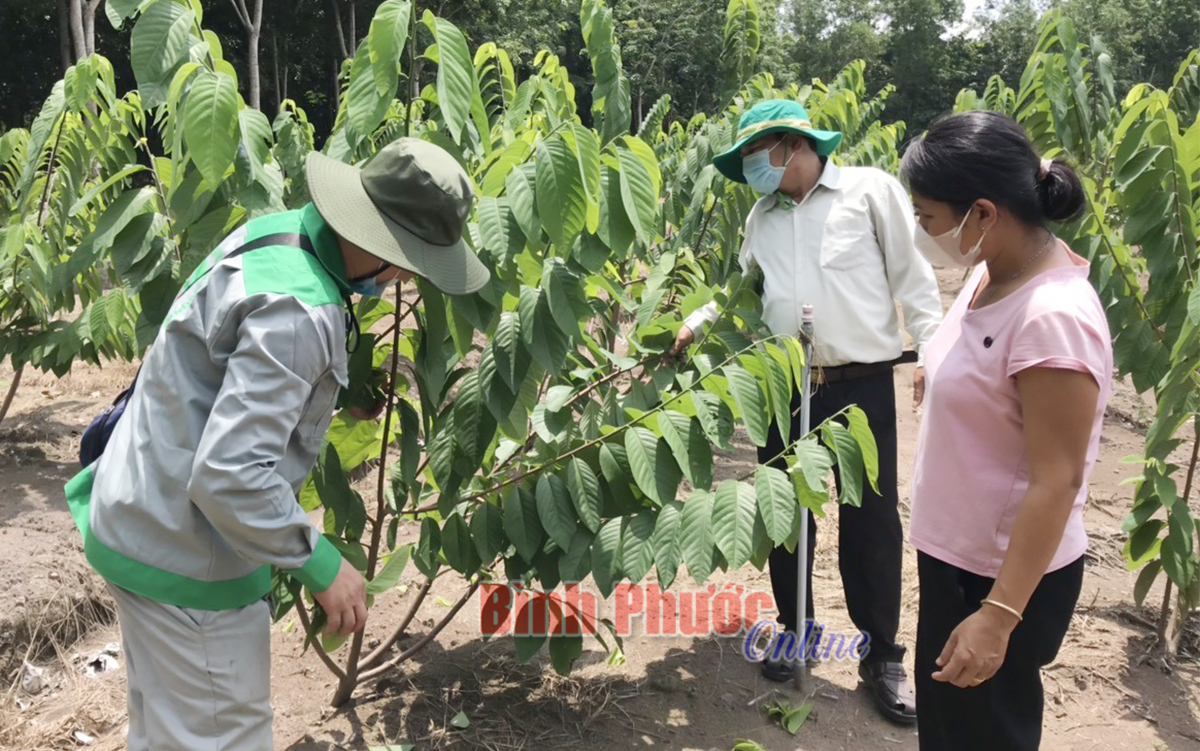 thuan2_08383424072021.jpg