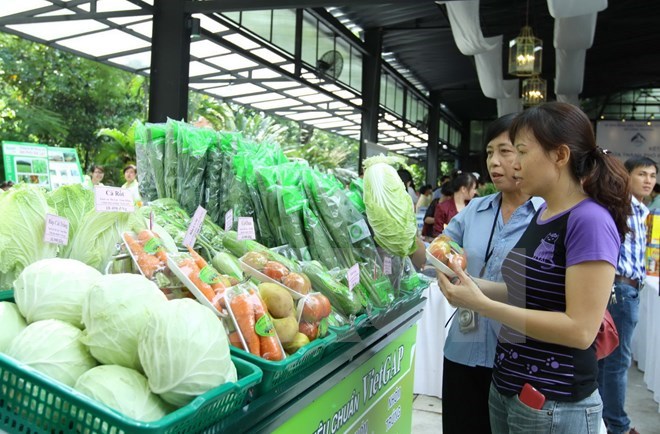 Tăng cường kết nối, phát triển Vùng kinh tế trọng điểm phía Nam Tăng cường kết nối, phát triển Vùng kinh tế trọng điểm phía Nam