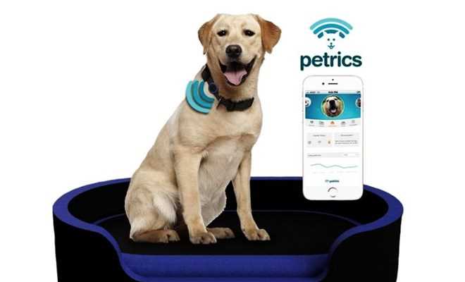 Thiết bị thông minh phục vụ thú cưng tạo sức hút lớn tại CES 2018 Thiết bị thông minh phục vụ thú cưng tạo sức hút lớn tại CES 2018