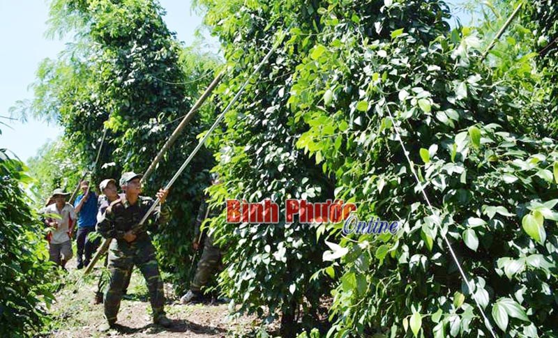 Thủ lĩnh đoàn thanh niên miệng nói, tay làm Thủ lĩnh đoàn thanh niên miệng nói, tay làm