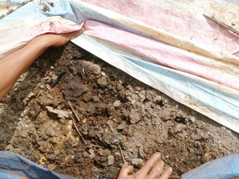 Nhà nông nên biết: Dùng chế phẩm sinh học Trichoderma ủ phân hữu cơ Nhà nông nên biết: Dùng chế phẩm sinh học Trichoderma ủ phân hữu cơ