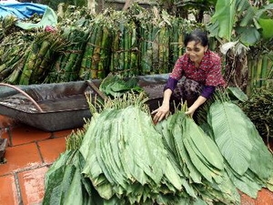 Hà Nội dành 13.000 tỷ đồng xử lý ô nhiễm làng nghề Hà Nội dành 13.000 tỷ đồng xử lý ô nhiễm làng nghề
