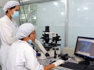 Quy định xử phạt vi phạm trong lĩnh vực khoa học Quy định xử phạt vi phạm trong lĩnh vực khoa học