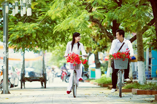 Mùa hoa phượng Mùa hoa phượng