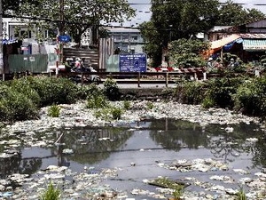 Lập BCĐ thực hiện chương trình khắc phục ô nhiễm