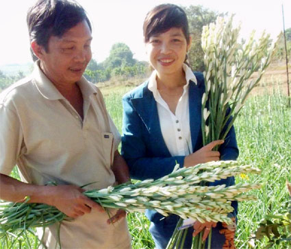 Người trồng hoa Phú Thịnh mong chờ mùa tết được giá Người trồng hoa Phú Thịnh mong chờ mùa tết được giá