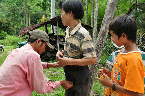 Giải mã 'gia tài' người rừng Giải mã 'gia tài' người rừng