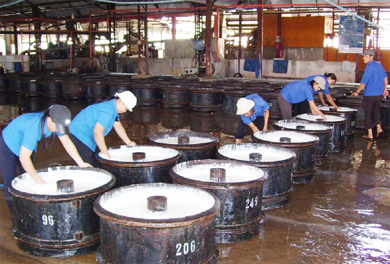 Nghiên cứu phát triển nhãn hiệu sản phẩm cao su Bình Phước