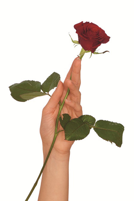 Cái “ngu” thứ 5
