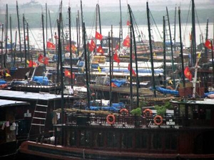 48.233 phương tiện, lồng bè được neo đậu tránh bão 48.233 phương tiện, lồng bè được neo đậu tránh bão