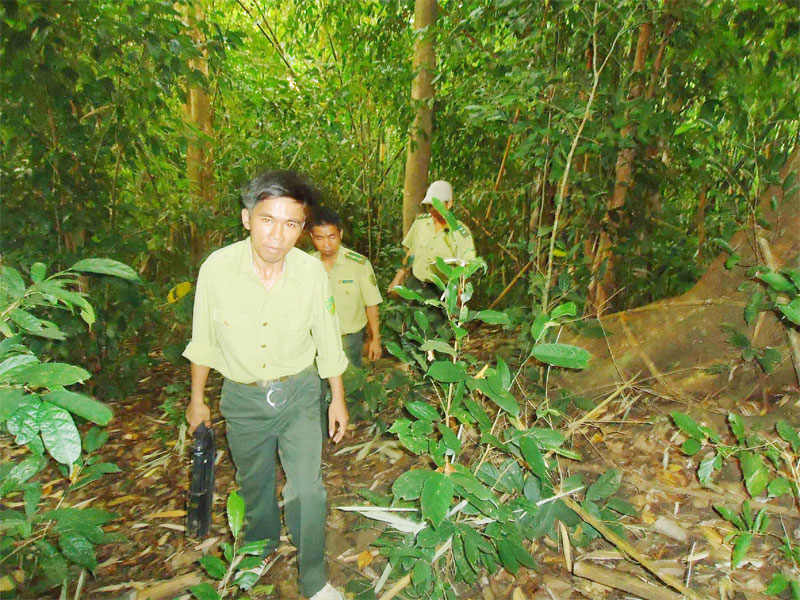 Phá rừng trái phép vùng giáp ranh Bình Phước - Đắk Nông còn phức tạp Phá rừng trái phép vùng giáp ranh Bình Phước - Đắk Nông còn phức tạp