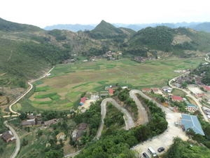 Chile hỗ trợ Việt Nam trồng nguồn lương thực vàng Chile hỗ trợ Việt Nam trồng nguồn lương thực vàng