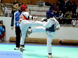 Giải vô địch Taekwondo các lứa tuổi trẻ toàn quốc Giải vô địch Taekwondo các lứa tuổi trẻ toàn quốc