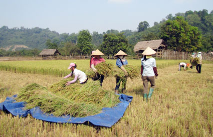 Ở bên sông vẫn thiếu nước Ở bên sông vẫn thiếu nước