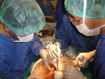 Mối hiểm họa từ dịch viêm gan vi-rút Mối hiểm họa từ dịch viêm gan vi-rút