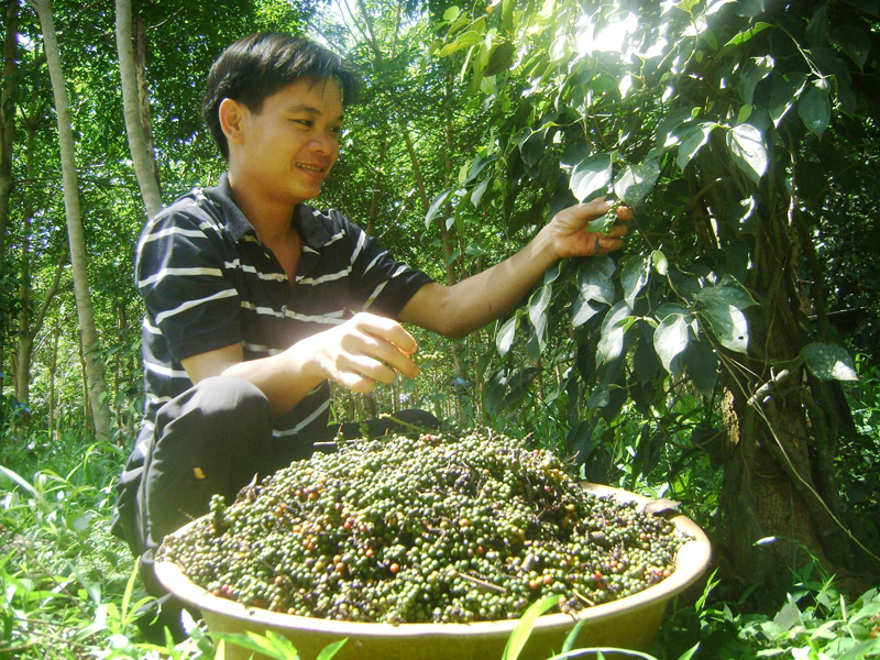 Là thủ lĩnh Đoàn thì phải biết làm gương