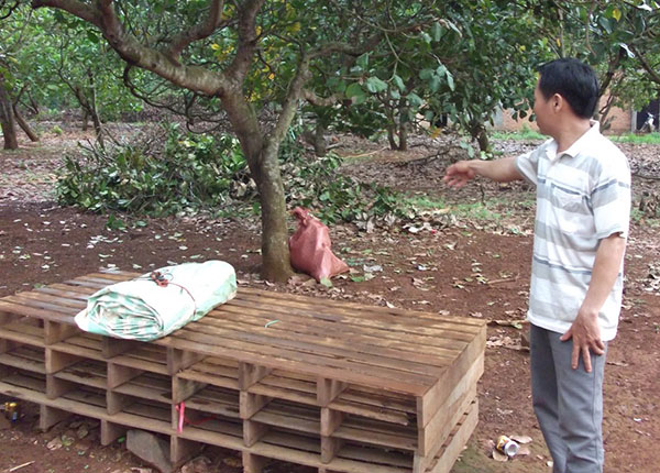 2 vụ sét đánh làm chết 3 người 2 vụ sét đánh làm chết 3 người