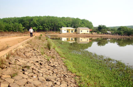 Căng mình chống hạn
