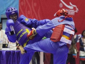 Việt Nam thâu tóm huy chương giải Vovinam ĐNA