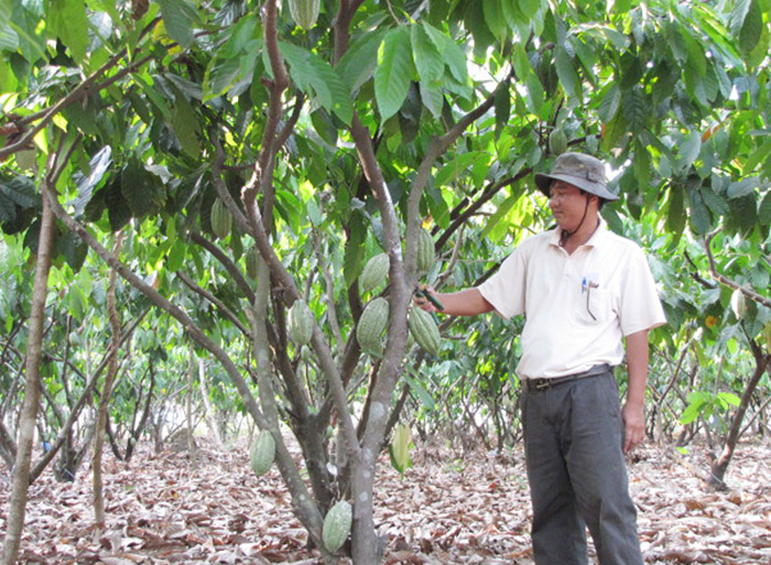 Làm giàu nhờ áp dụng khoa học - kỹ thuật Làm giàu nhờ áp dụng khoa học - kỹ thuật