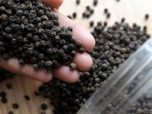 Bà Phan Thị Cúc có dấu hiệu lừa đảo chiếm đoạt tài sản?