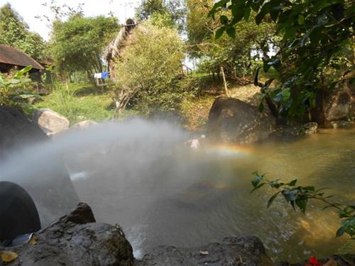 Bềnh bồng suối Hoa