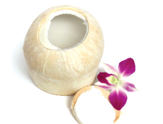 Chữa lở loét miệng Chữa lở loét miệng