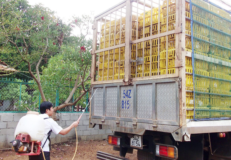 Kiểm soát chặt chẽ gia súc, gia cầm lưu thông qua địa bàn tỉnh Kiểm soát chặt chẽ gia súc, gia cầm lưu thông qua địa bàn tỉnh