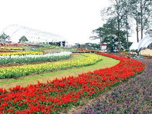 Không gian Trường Sa sẽ đến Festival Hoa Đà Lạt Không gian Trường Sa sẽ đến Festival Hoa Đà Lạt