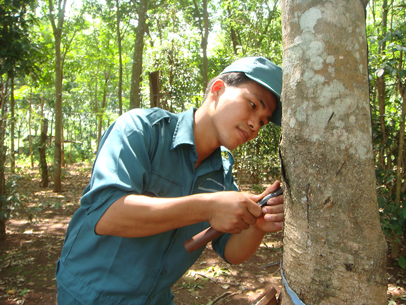 Để chuyên mục “Người tốt, việc tốt” ngày càng thu hút bạn đọc Để chuyên mục “Người tốt, việc tốt” ngày càng thu hút bạn đọc