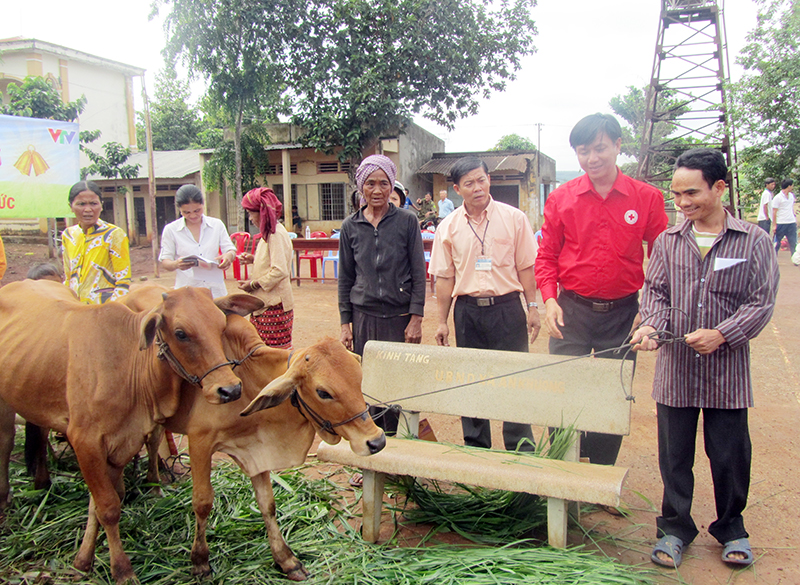 Trao 9 con bò cho hộ nghèo huyện Hớn Quản