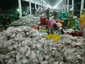 Bộ Công an yêu cầu báo cáo vụ thu 2 tấn bạch tuộc Bộ Công an yêu cầu báo cáo vụ thu 2 tấn bạch tuộc