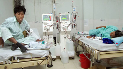 Đời như tầm gửi (tt)