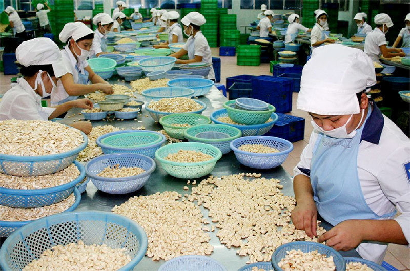 Năm 2014, Bình Phước phấn đấu đạt tốc độ tăng trưởng GRDP 11,5 - 12% Năm 2014, Bình Phước phấn đấu đạt tốc độ tăng trưởng GRDP 11,5 - 12%