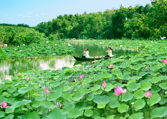Kinh nghiệm ở Long An: Dựa vào dân để giữ rừng