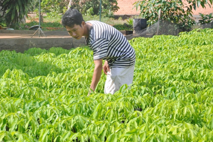 Xã đoàn Long Hà cùng thanh niên lập thân, lập nghiệp