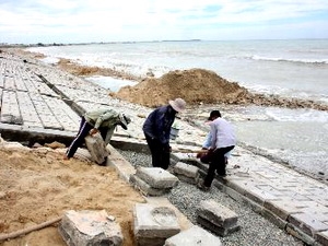 Đưa Việt Nam thành 1 quốc gia thích ứng biến đổi khí hậu