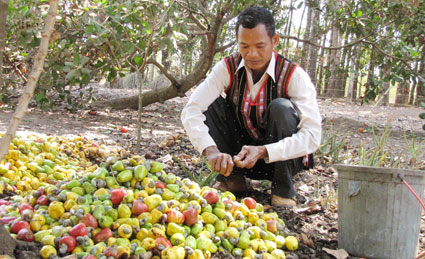 Nghèo cũng không bán đất sản xuất