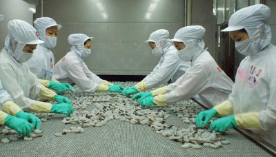 Thêm cơ hội cho thủy sản Việt Nam vào châu Âu Thêm cơ hội cho thủy sản Việt Nam vào châu Âu