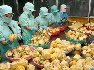 Rau quả Việt được xuất khẩu trở lại sang châu Âu
