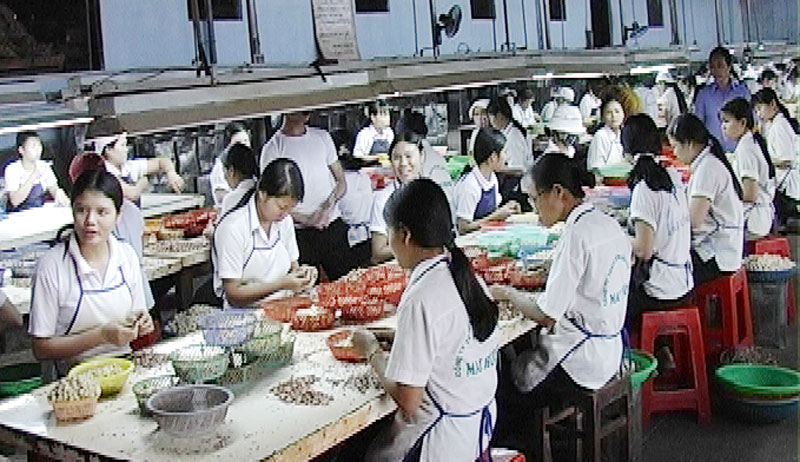 Thu ngân sách ở huyện Bù Đăng gặp khó khăn Thu ngân sách ở huyện Bù Đăng gặp khó khăn