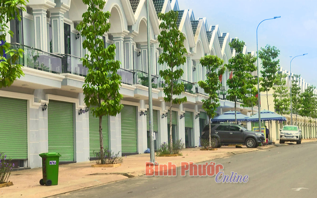 thunhapthap_15141017112020.jpg