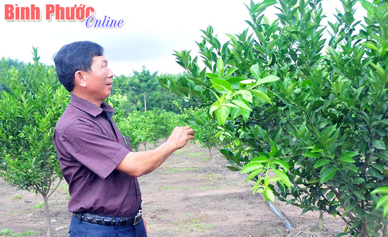 Thu tiền tỷ nhờ áp dụng khoa học vào sản xuất Thu tiền tỷ nhờ áp dụng khoa học vào sản xuất