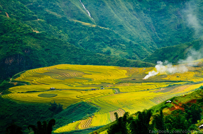 thuvang204092014101816.jpg