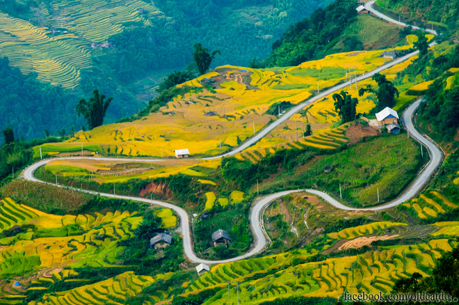 thuvang304092014101817.jpg