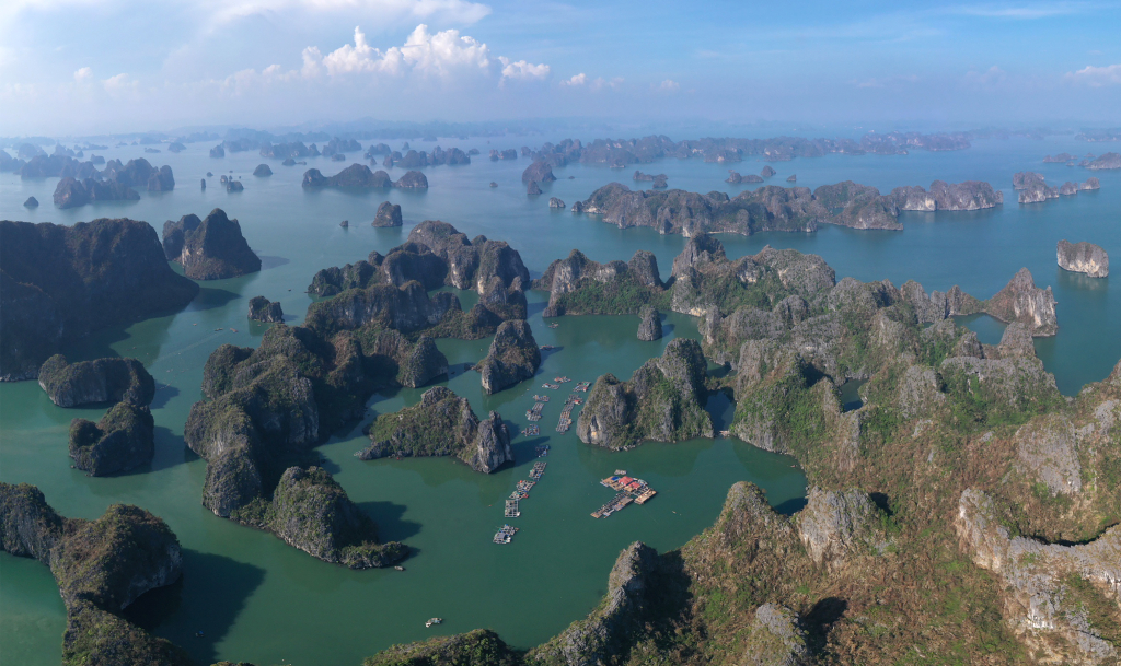 Thuỷ mặc Hạ Long