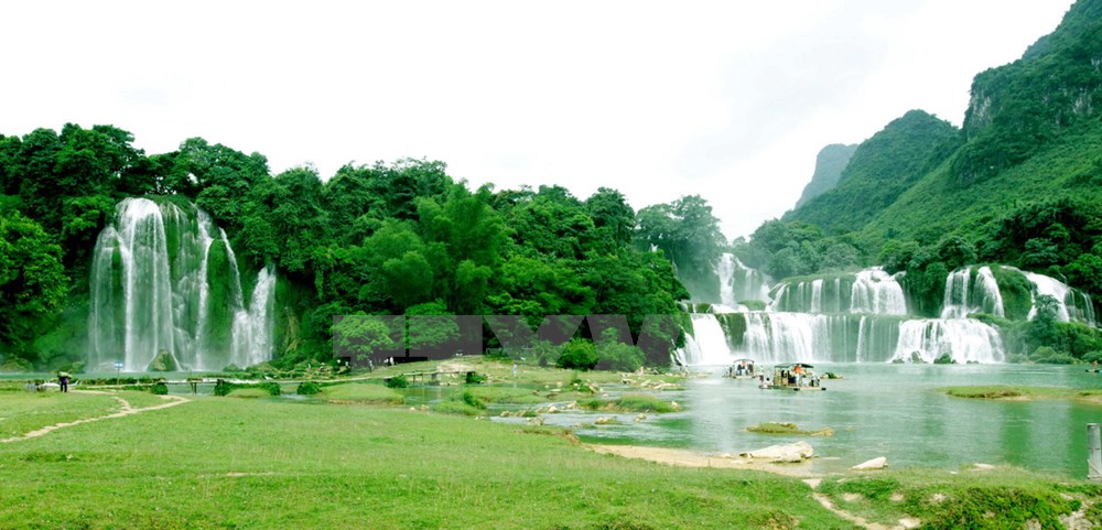 tiencanhbongnai524072015075152.jpg