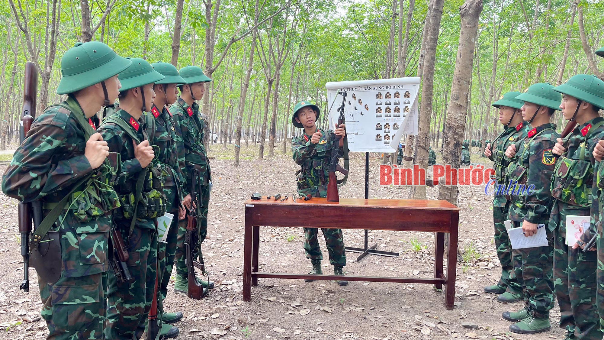 Tiếng gọi Tổ quốc